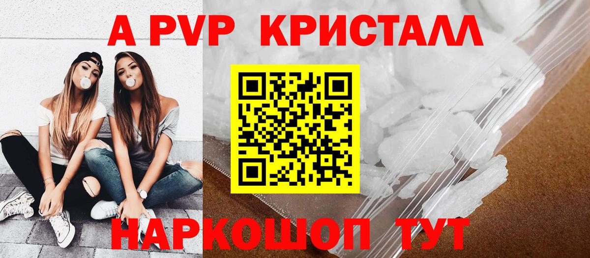 Альфа ПВП СК Шахты