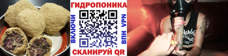 Canna-Cookies конопля  купить  цена  гидра маркетплейс  Шахты 