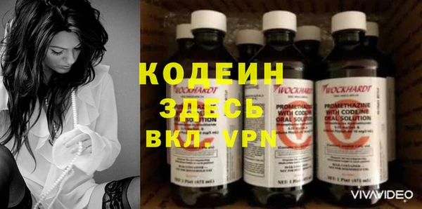 ПСИЛОЦИБИНОВЫЕ ГРИБЫ Ельня