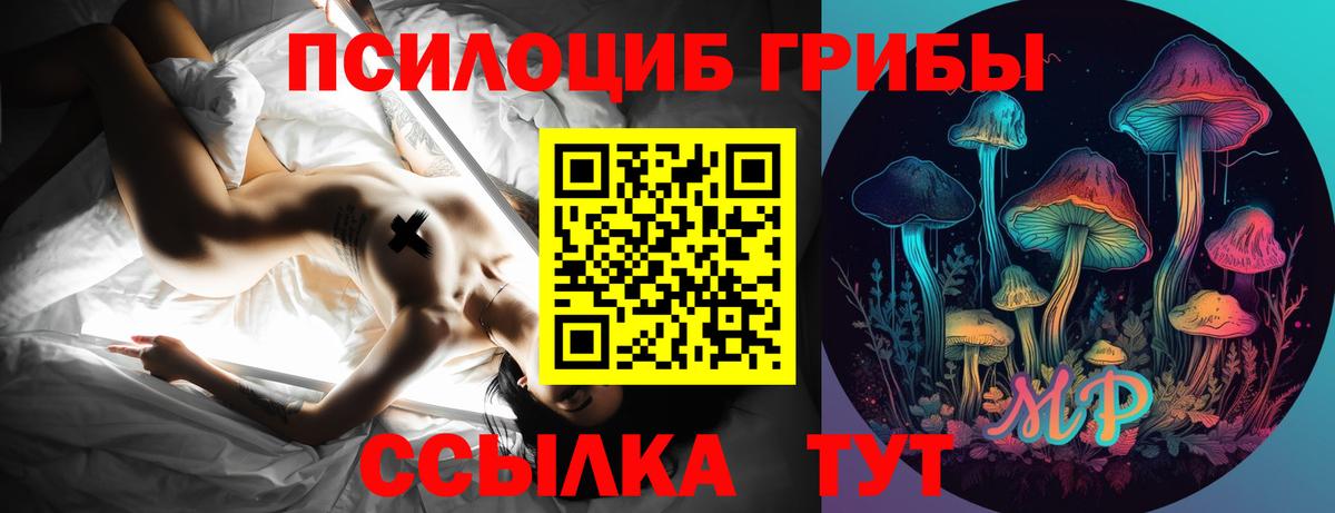 Галлюциногенные грибы Psilocybe  Псилоцибиновые грибы Cubensis  Шахты  Вход с VPN 