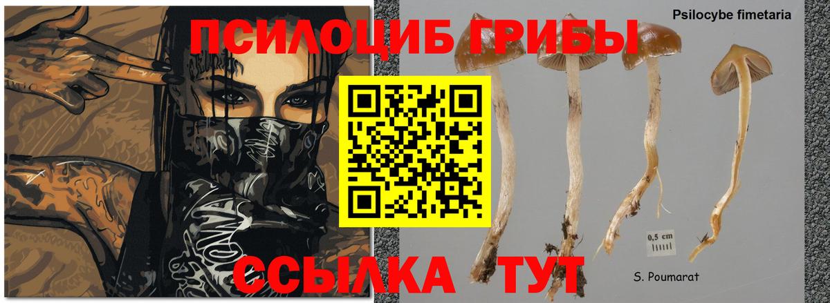Галлюциногенные грибы ЛСД Шахты